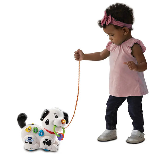 Perro perruno Vtech