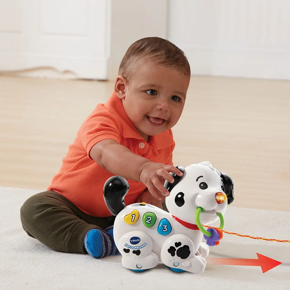 Perro perruno Vtech