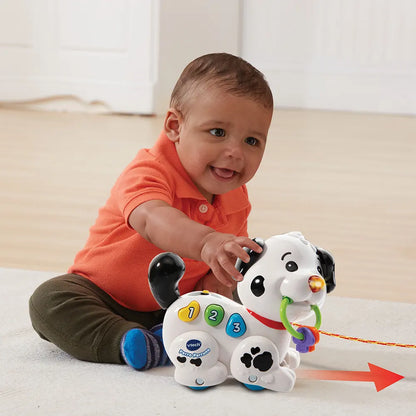 Perro perruno Vtech