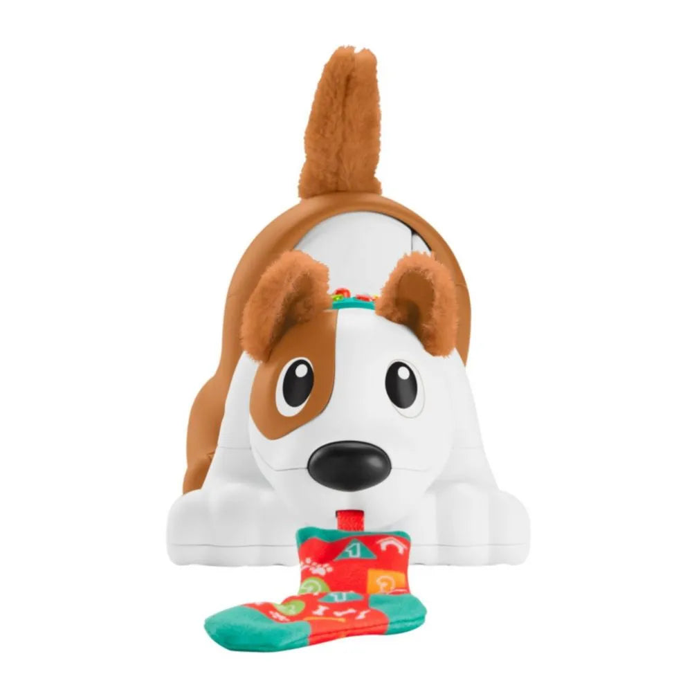 Cachorro Gatea Conmigo