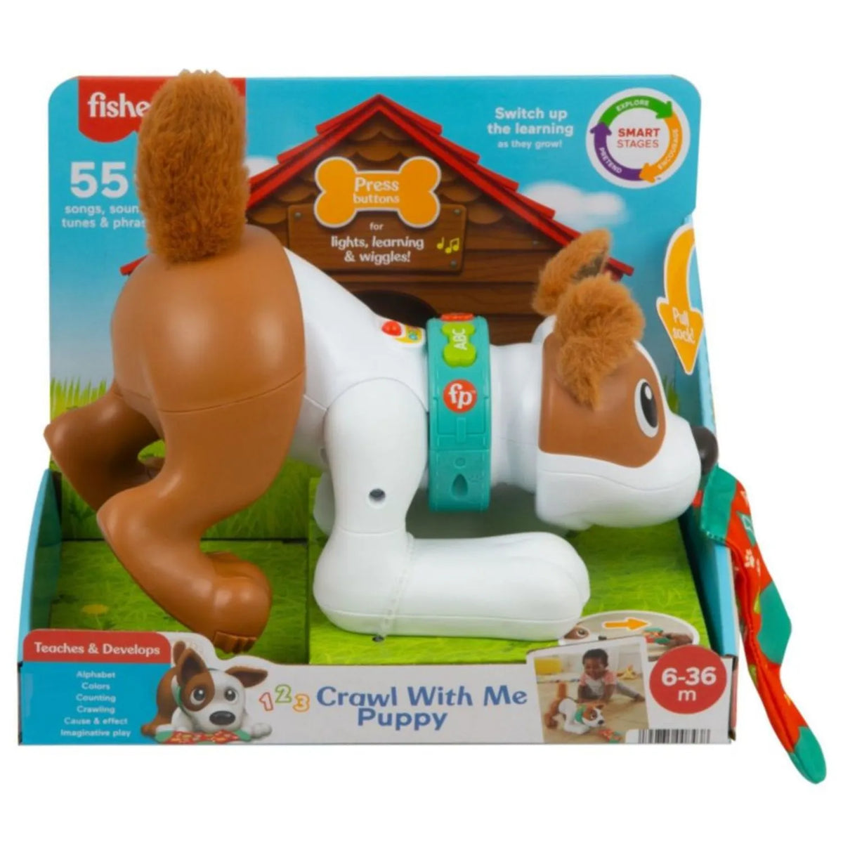 Cachorro Gatea Conmigo