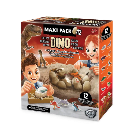 Set Dino Huevos Pack 12 Unidades Buki France
