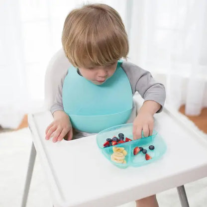 Platos con Divisiones Pack 3  Dr. Browns